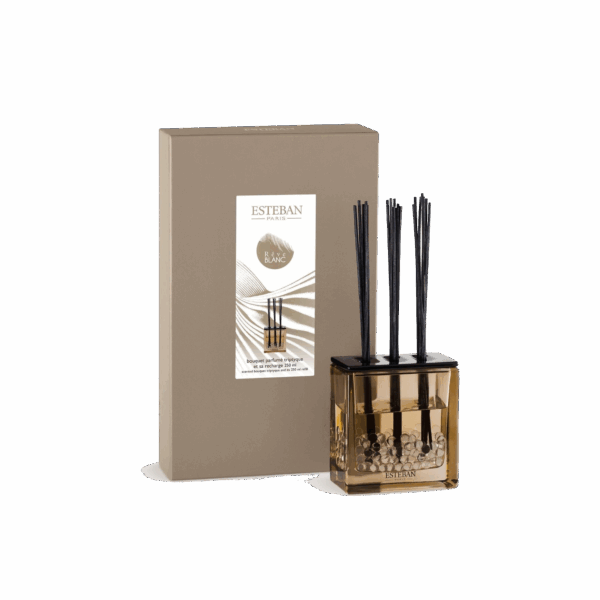 Diffuseur Triptyque Rêve Blanc 250ML